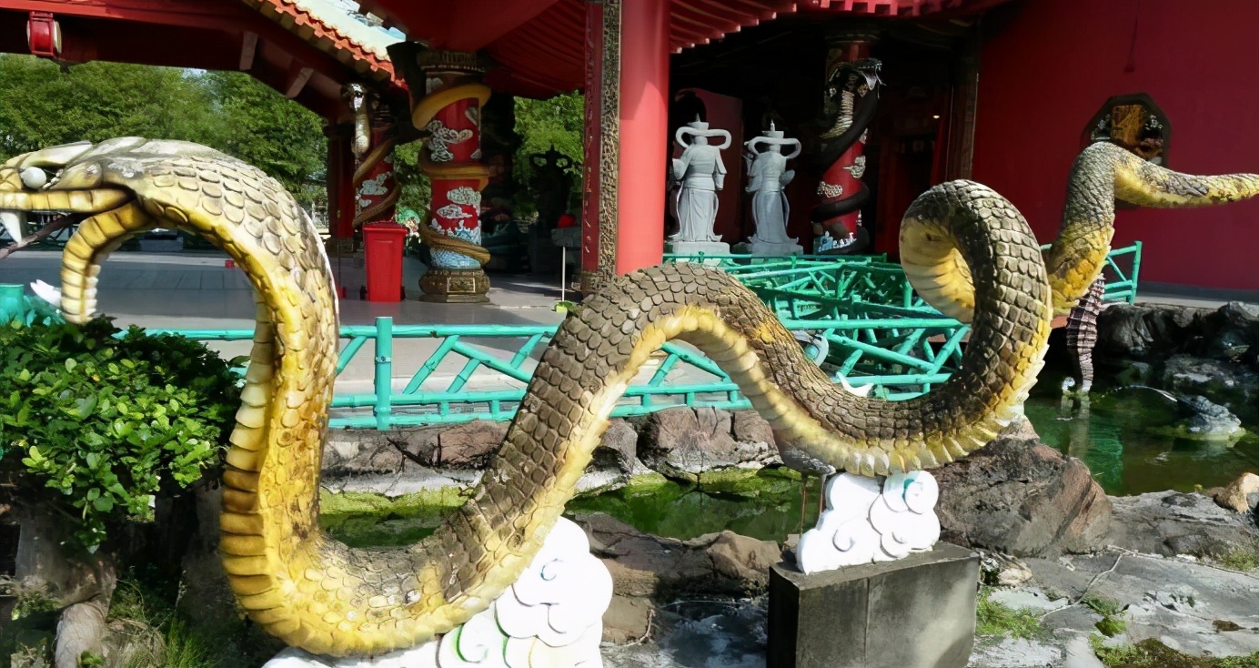 世上唯一的“蛇庙”，寺内青蛇泛滥，游客：我们一点都不害怕