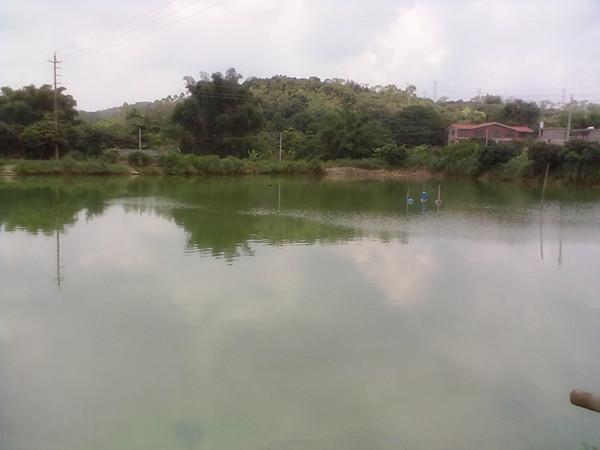 12岁少女惨死鱼塘，外出摆摊遭人奸杀！变态凶手被捕时仍不承认罪行