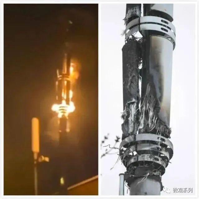 信息韭菜们的狂欢