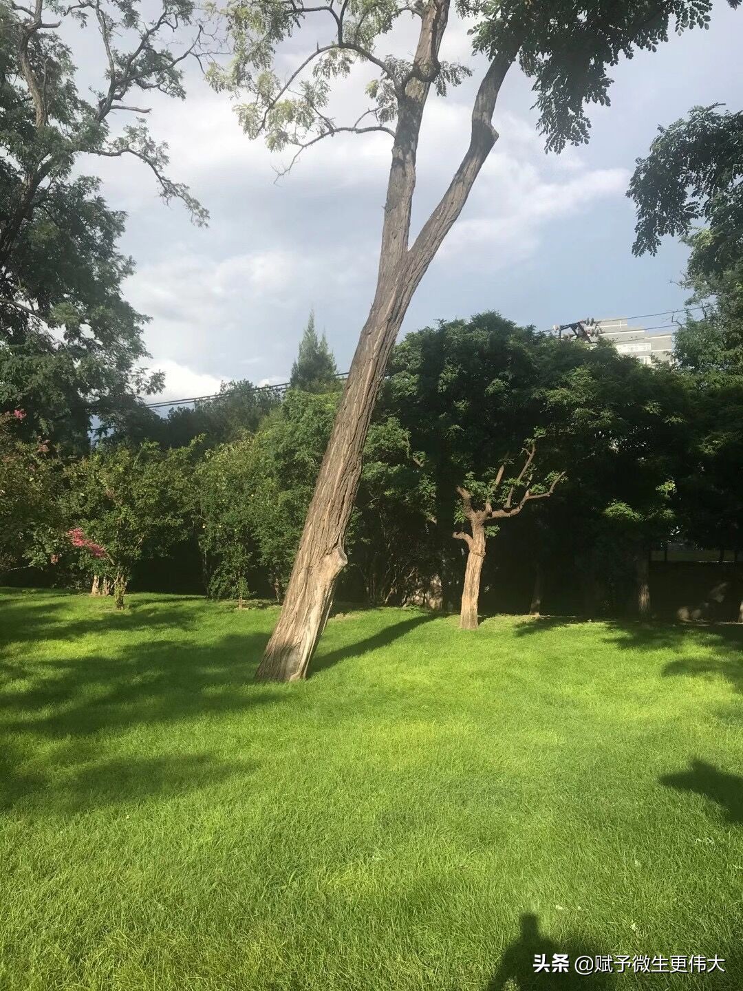 上秋妆——恰恰用心时，恰恰无心用