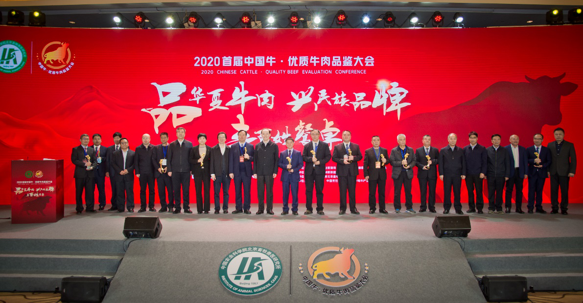 养牛关注：肉牛种业的昨天、今天和明天