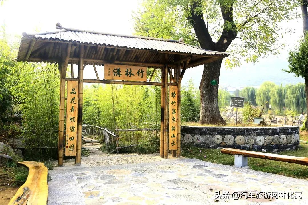 沂蒙马泉休闲园万亩樱桃花开,门票免费送啦
