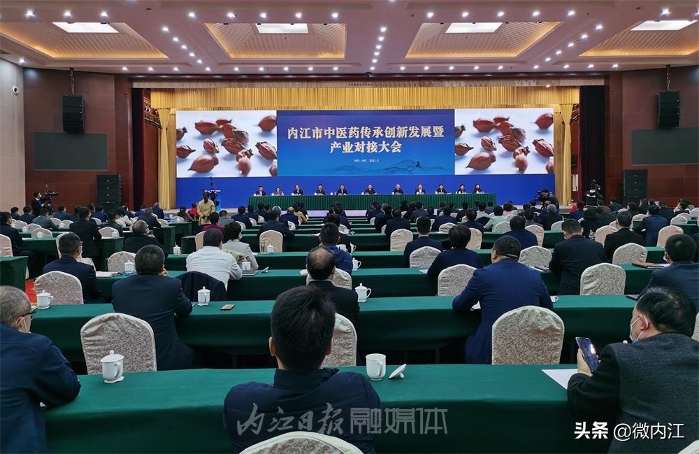 这个大会，让大家看到了内江中医药产业发展的春天