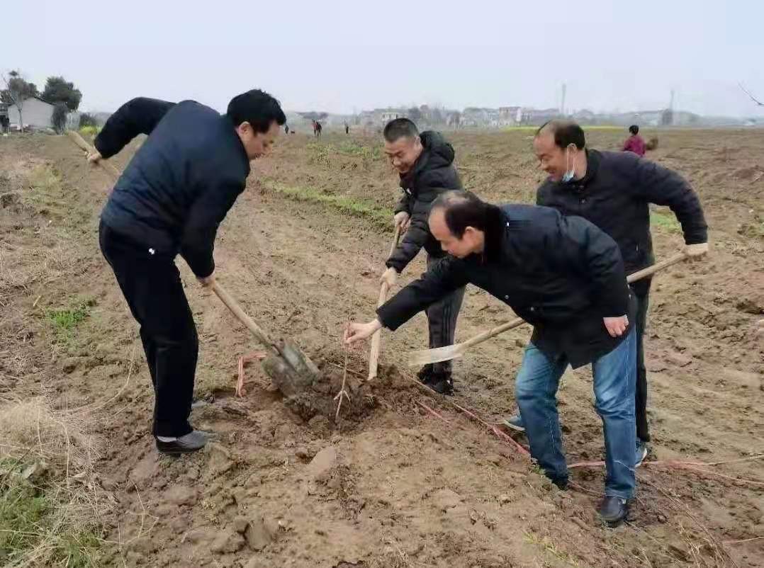 這個駐村工作隊有思路，提早謀篇布局，有序推進鄉(xiāng)村振興
