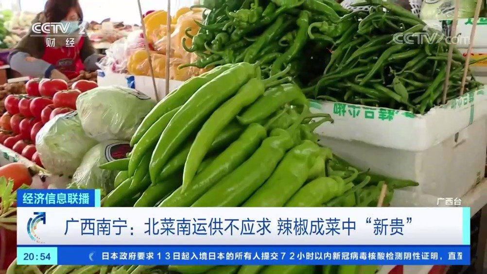 Cold wave is raided again and again, chili price rises continuously