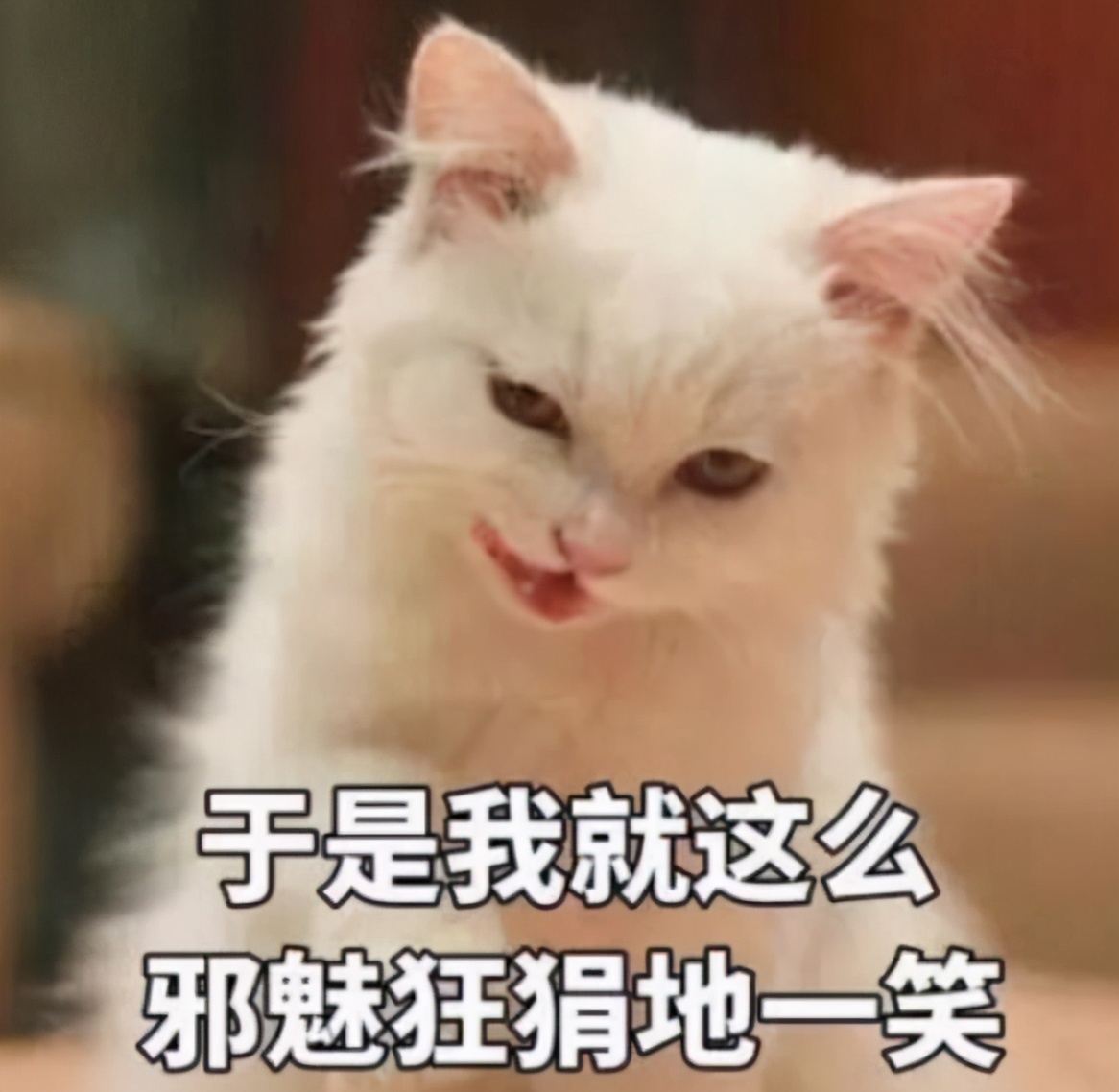 还要去接吗？伦敦封城了，小留学生的家长，“