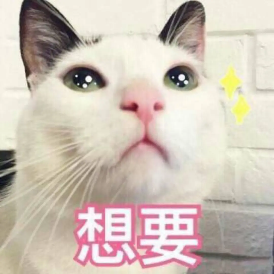 网友实地考察：在玉溪，摆地摊最赚钱的是这个