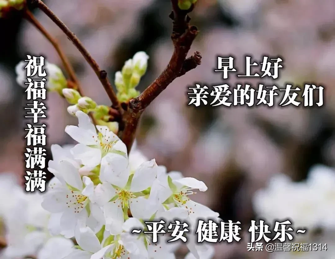 早上好唯美问候语 早安祝福语漂亮图片