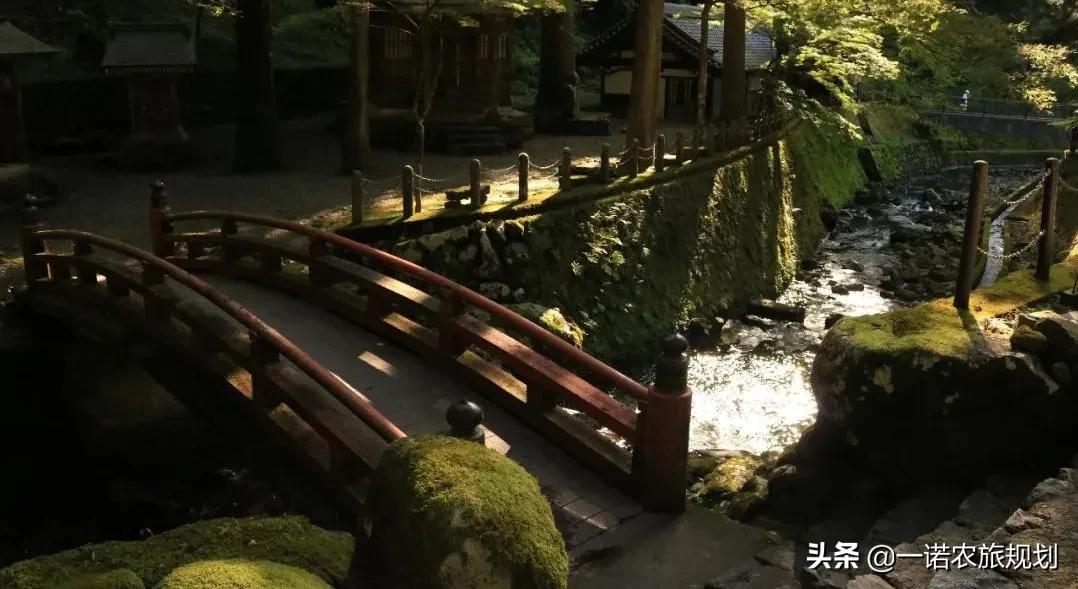 溫泉康養(yǎng)拿地，政府感興趣的點，包括以下三個方面