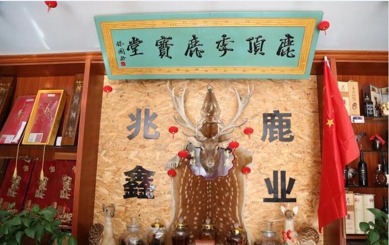 平凉兆鑫鹿业专卖店:一“鹿”有你会更好