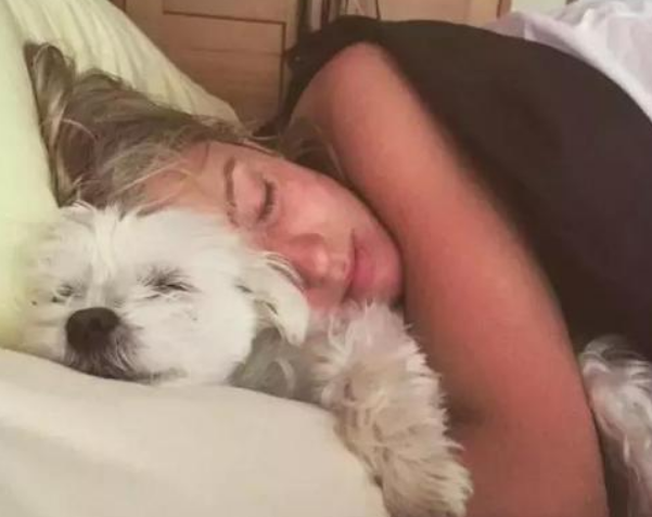 如果你睡着后，你家狗狗会做这6件事，证明没白养