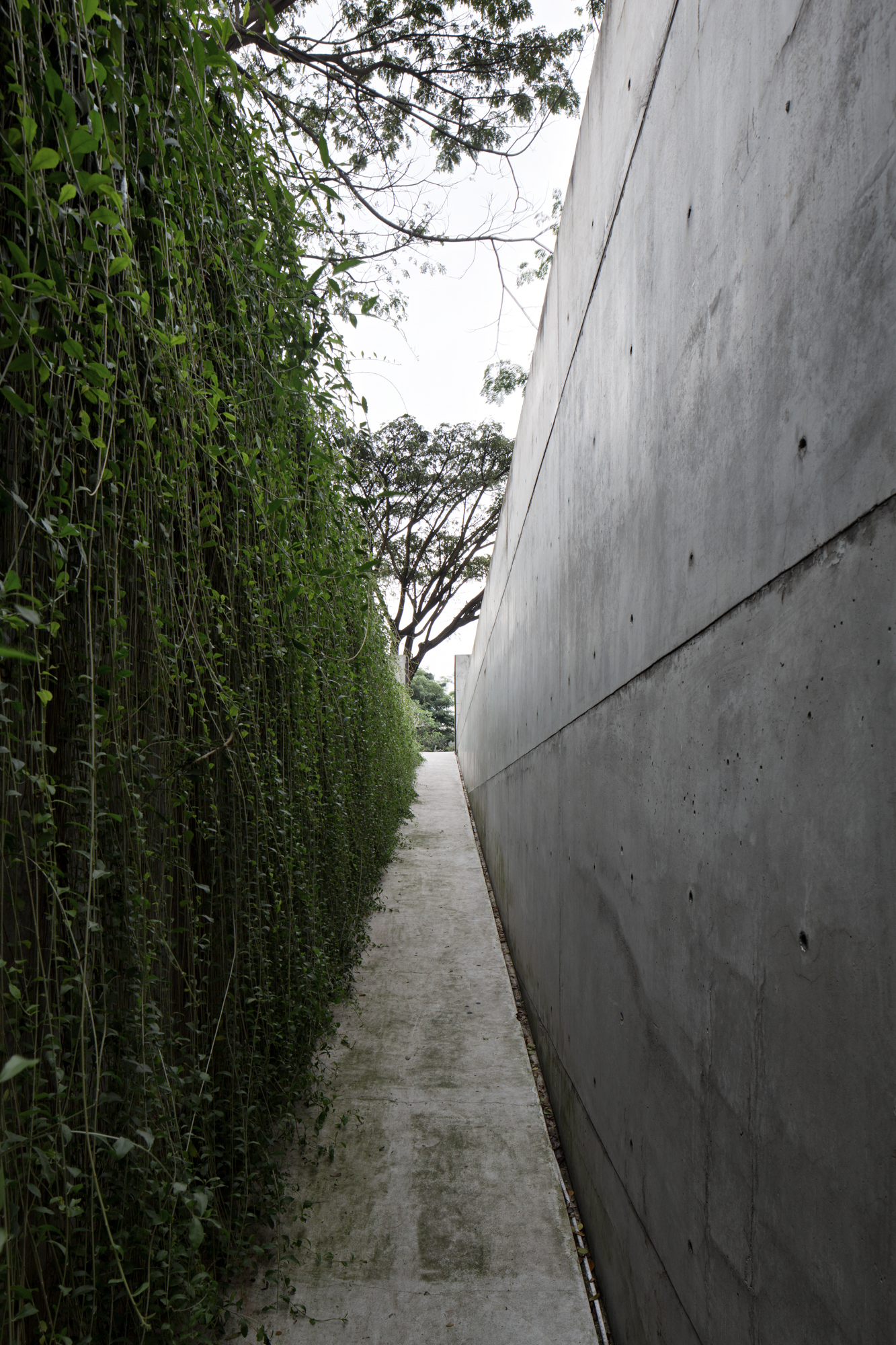 2000m²清水混凝土别墅，仅四居室却有700m²水池和3000m²花园