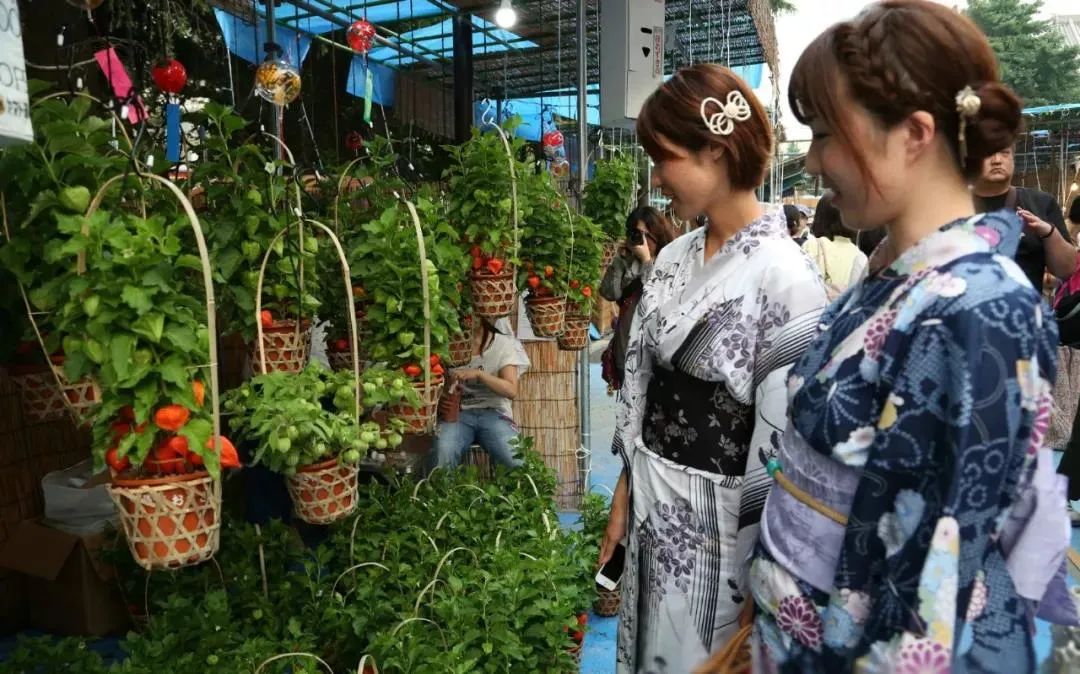 日本夏日風物詩 風鈴祭 比空調還涼爽 Traveler Mr劉 Mdeditor