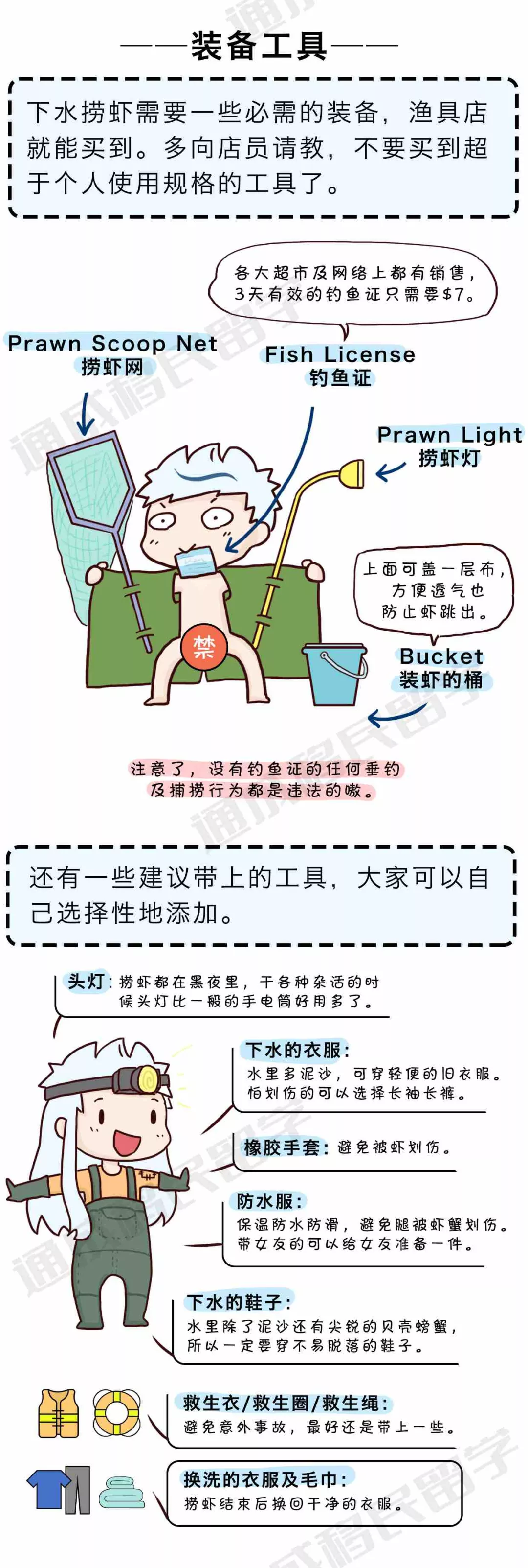 「通小成条漫」悉尼捞虾全攻略