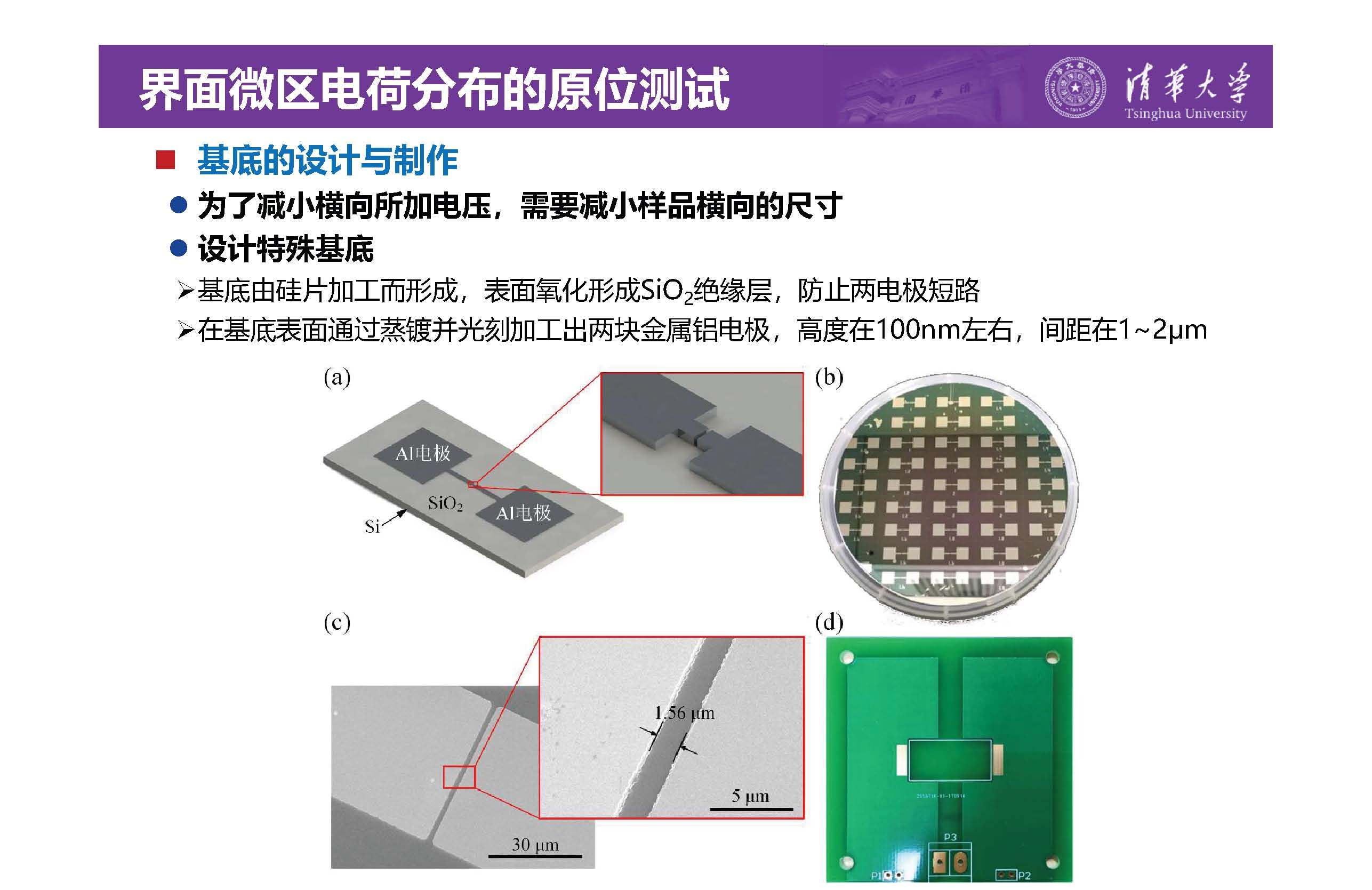 清华大学李琦副教授：介电纳米复合材料界面微区的原位测试技术