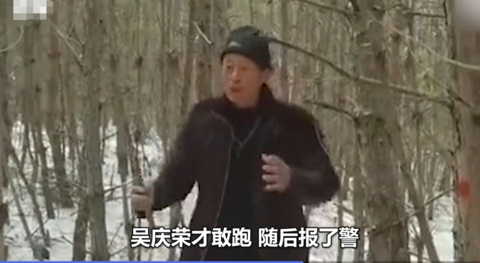 深山遇猛虎，黑龍江一老漢與虎兩米對峙，教科書般操作后全身而退