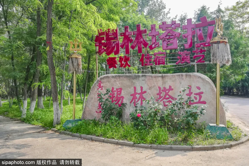 免門票!森林公園裡藏著個“小內蒙古”,還免費停車~
