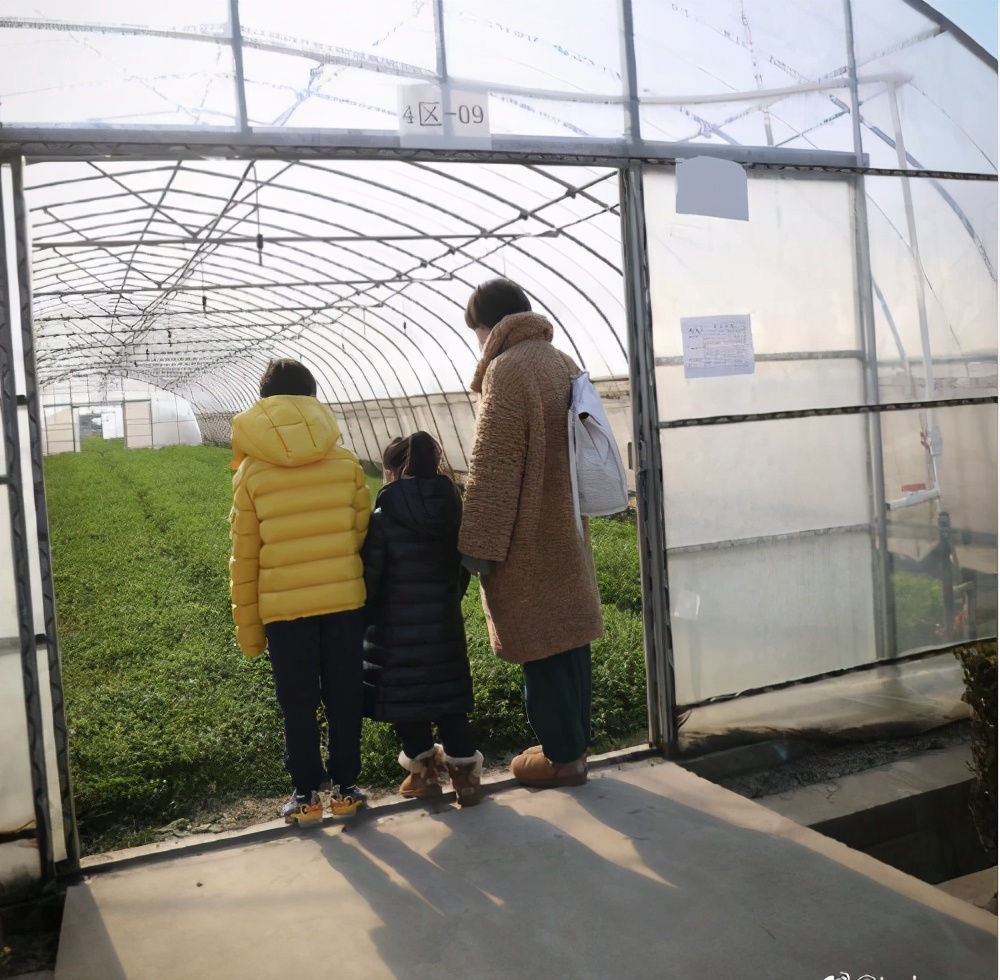 邓超夫妇携子女摘草莓，孙俪穿全绿造型减龄，