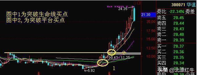 “周线选股”才是股市唯一生存法则