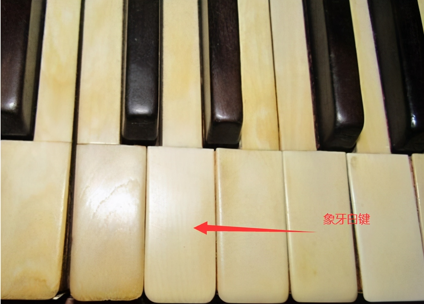 钢琴琴键什么材质的比较好？
