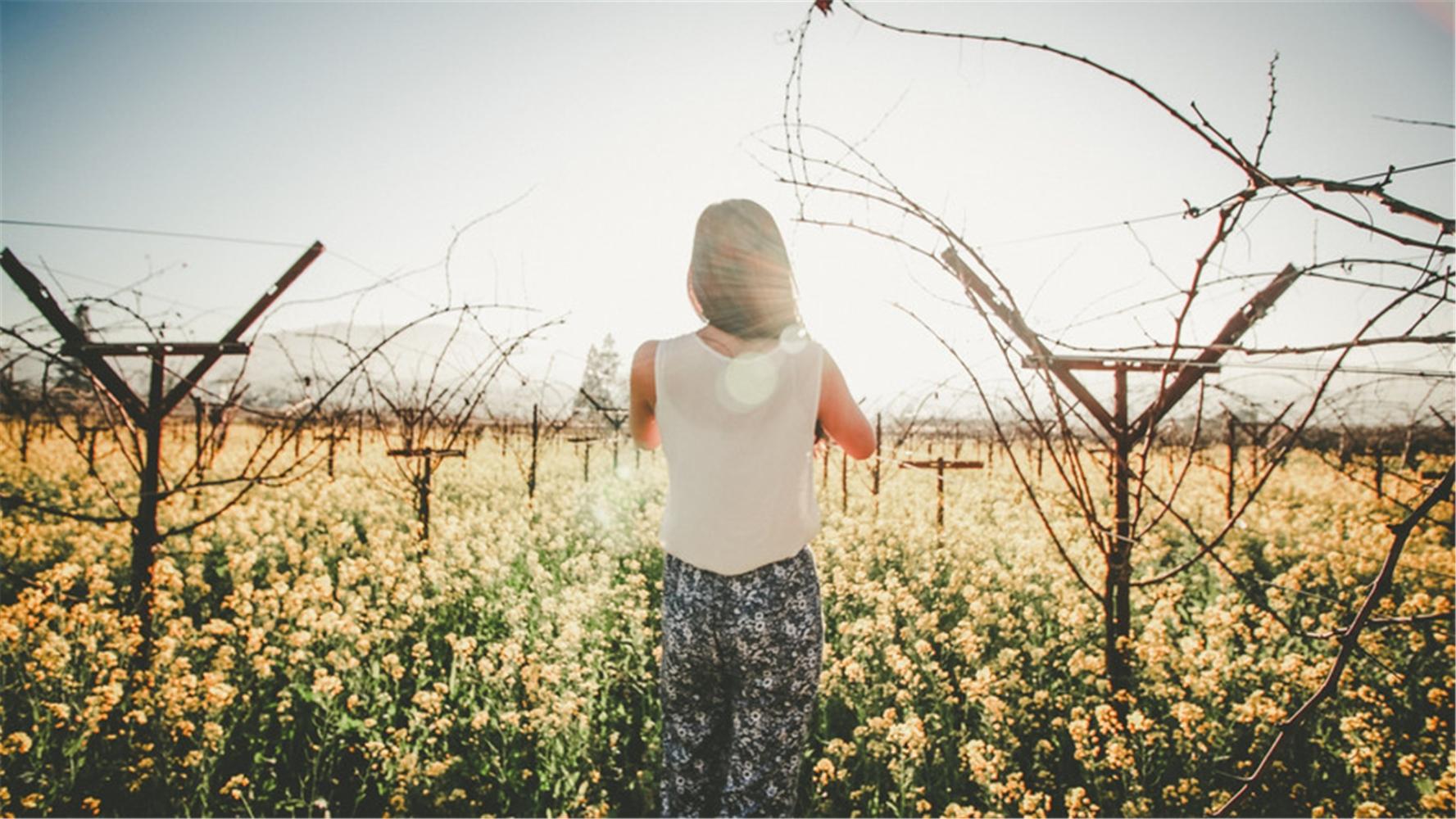 如果你是性格内向、不善于交际应酬的人，建议