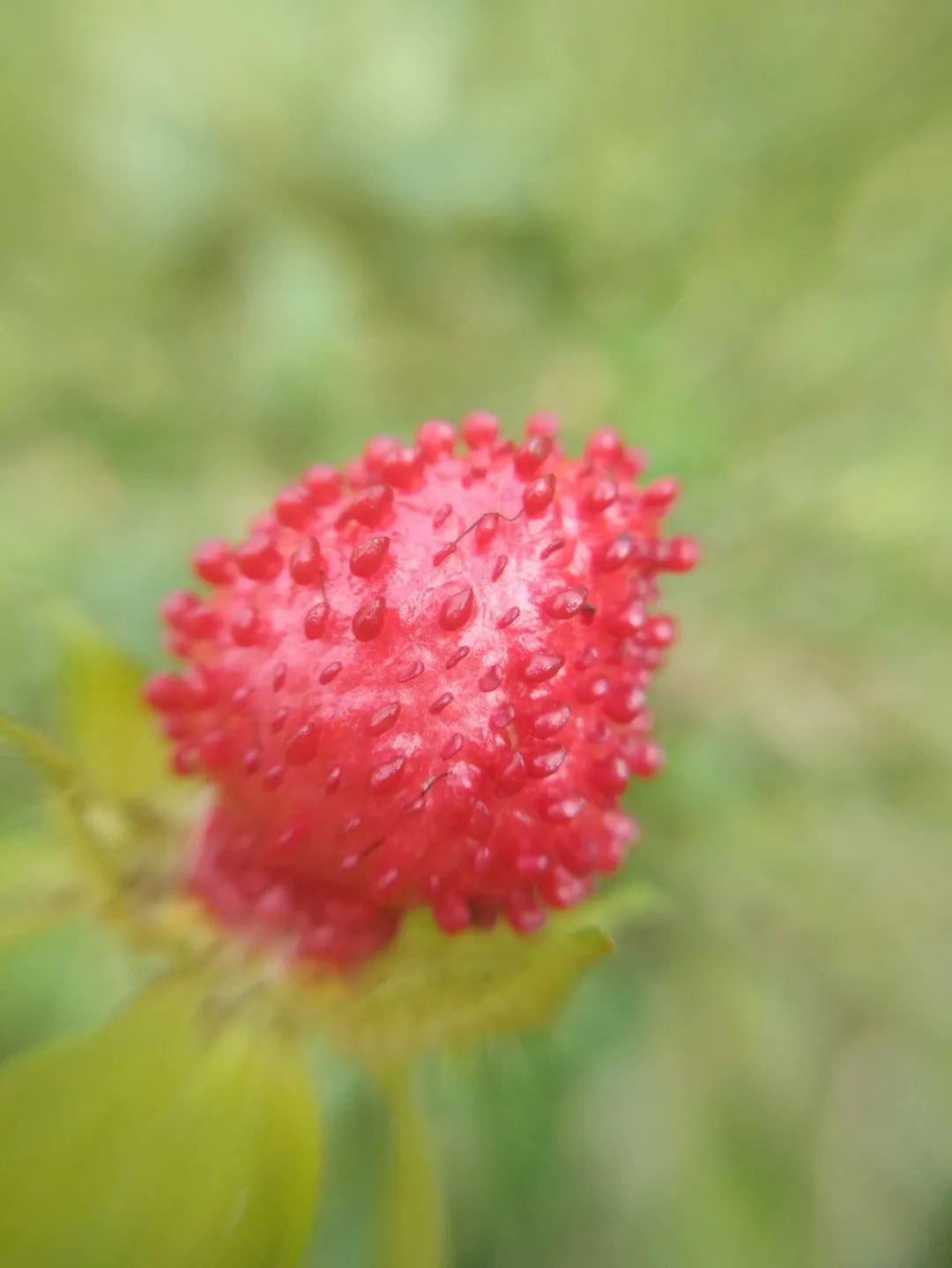 高速15分钟直达，这座城市比成都更安逸，却有