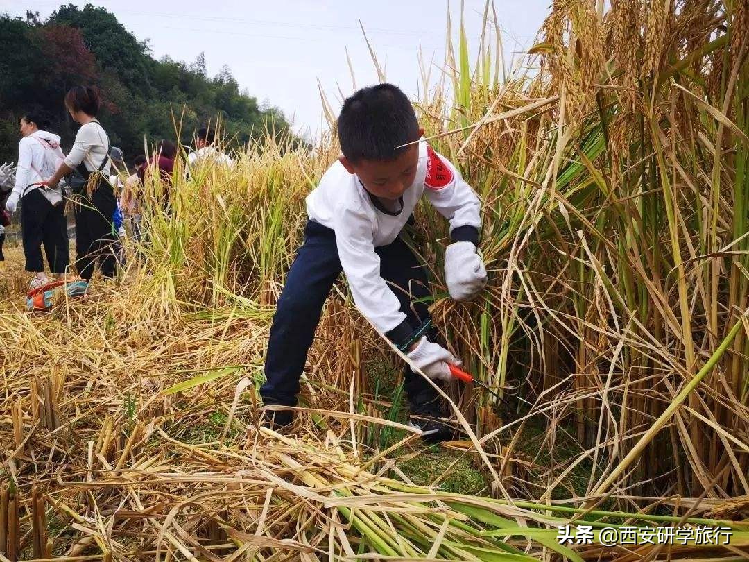 农业部、教育部通知：预打造一批农耕文化实践教育基地