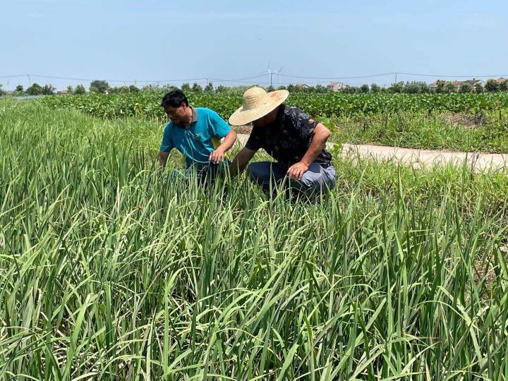 漫漫乡邮路 几多爱民情