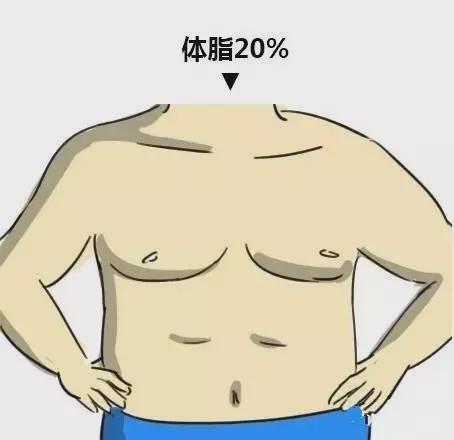 男女體脂對照圖，看看你是哪一種？