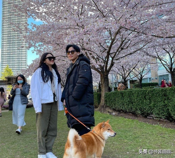 Doubt of Chen Kun's son basks in love to illuminate, regrettablly a pair of eyes destroyed a piece of face! Be exploded by the net come forward eventually for years