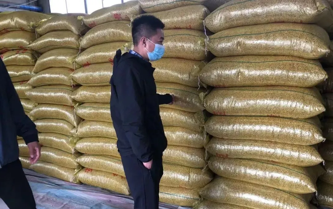 豆状元供应商齐聚座谈，共商豆制品行业发展大计
