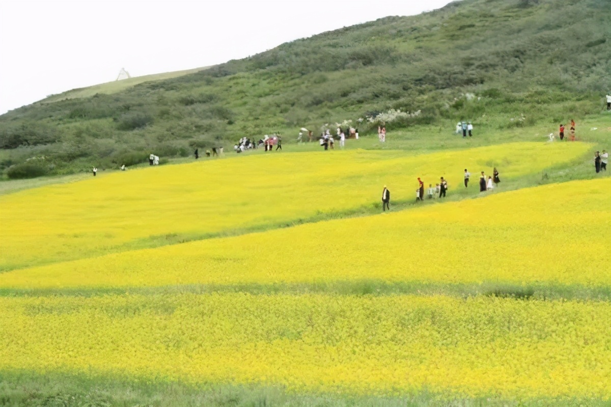 武威市古浪县：全力推进文化旅游深度融合