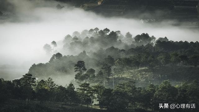 两周后，情缘已尽，相忘于江湖，3星座主动放手，转身邂逅真爱