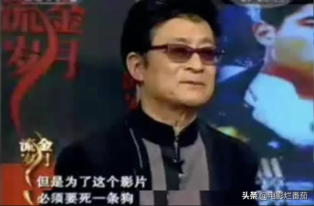 2.2分《犬王》为戏炸死功勋军犬,导演引起公愤遭网友打出超低分