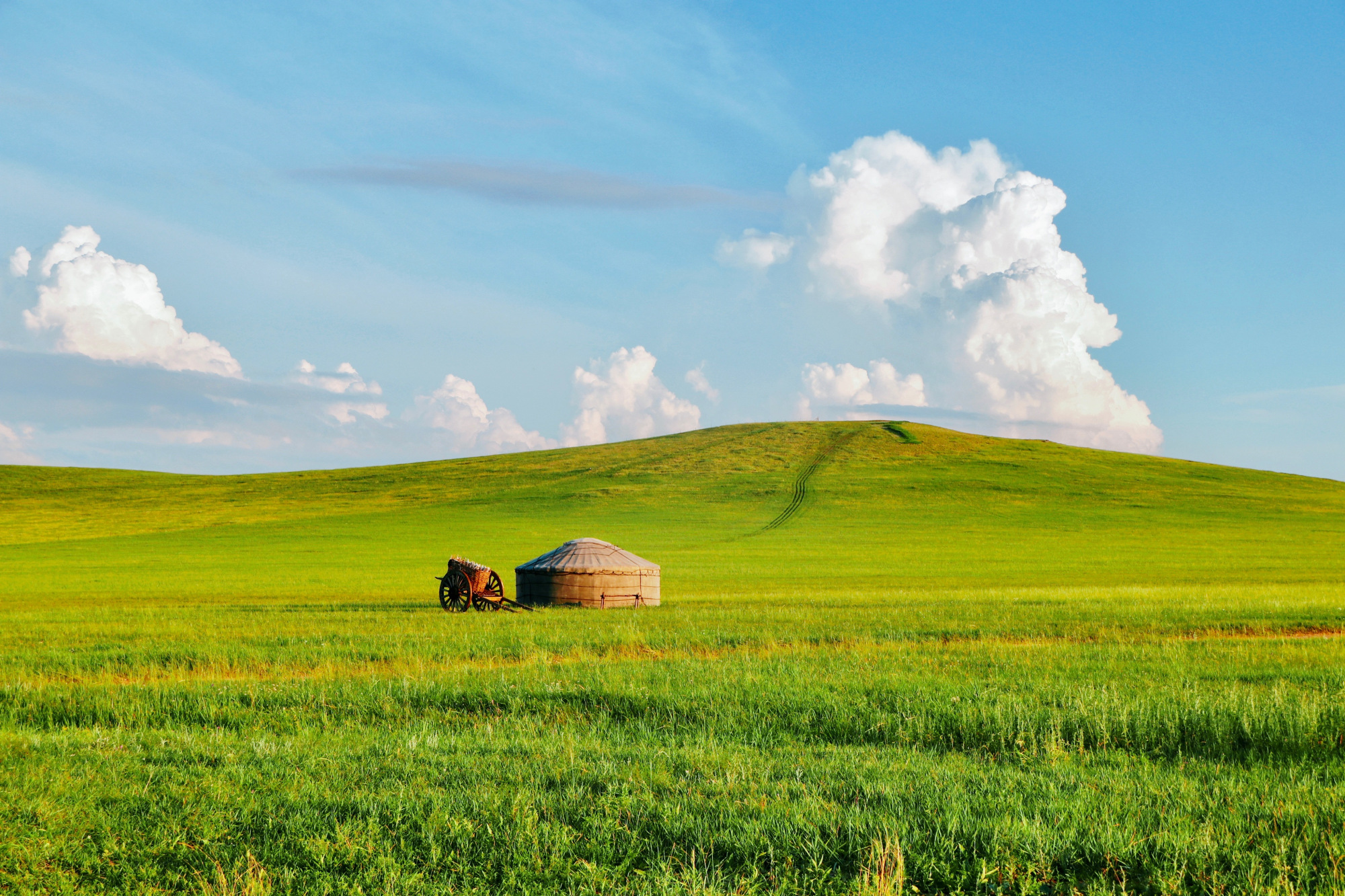 锡林郭勒大草原向往的诗和远方