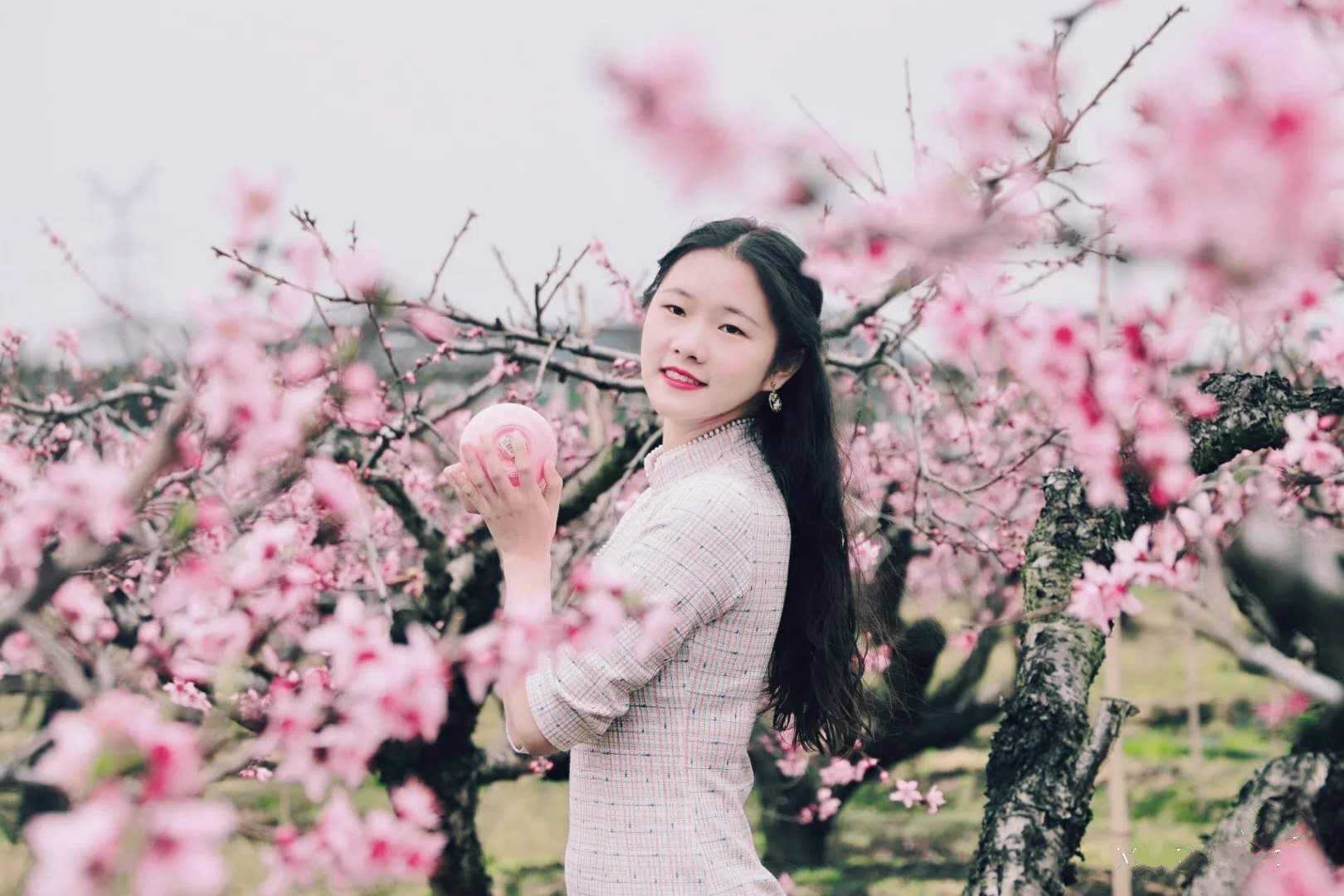 蘇州旅遊很多人忽略的桃花源 有誰知道桃花島 桃花村和桃花湖 Miptour Mdeditor