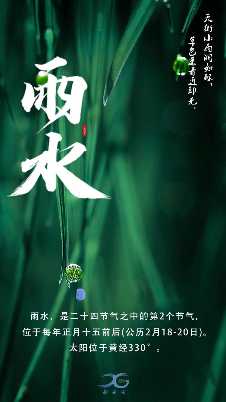 雨水|好雨知时节