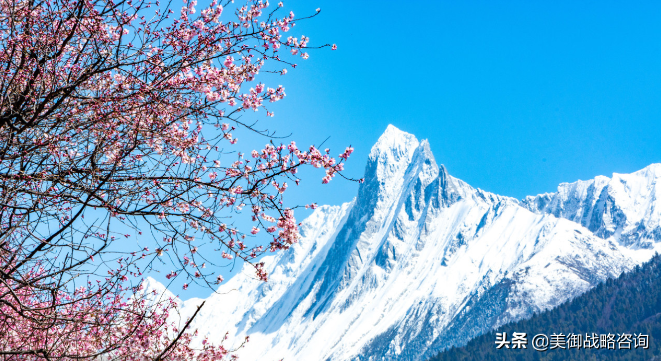 专业的全案策划