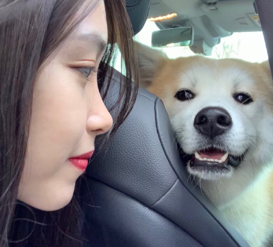 Half Tibet forest sends long article accuse network is violent: I was not afraid of, the disgrace quarrelling sound of abysmal line rolls remote speck