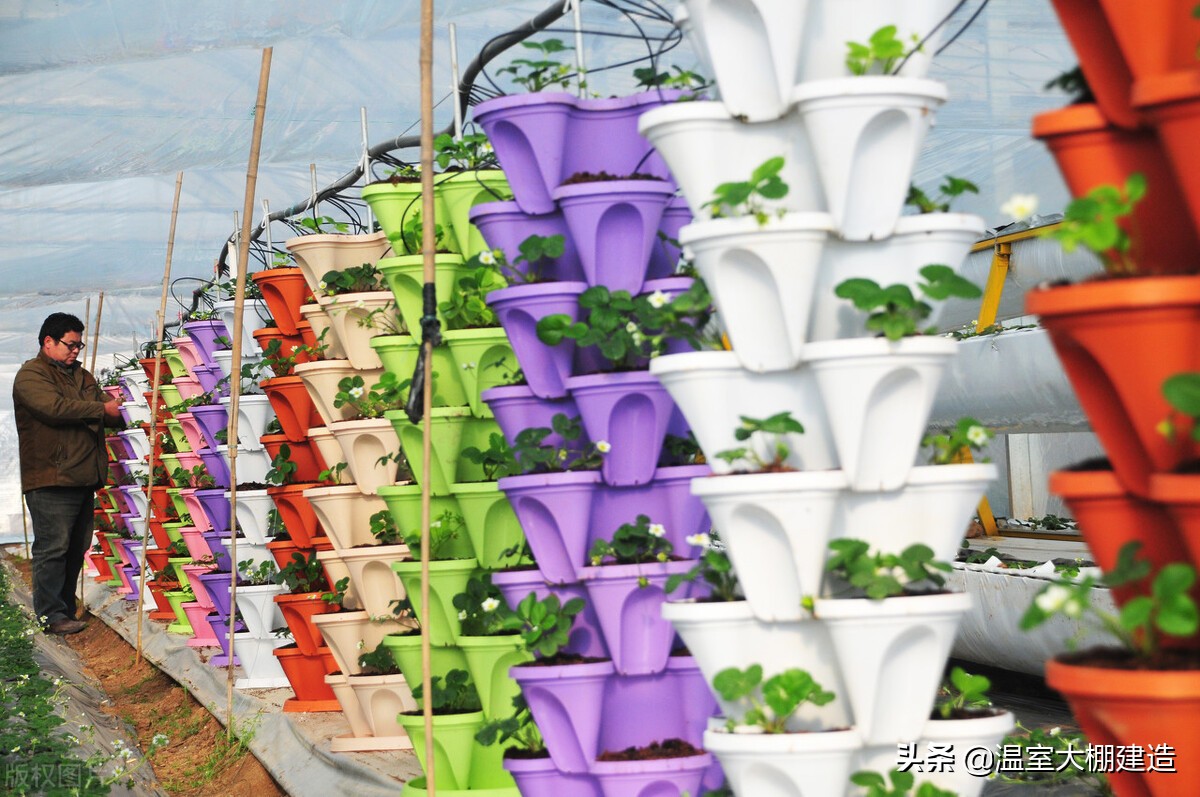 无土立体栽培的几种类型