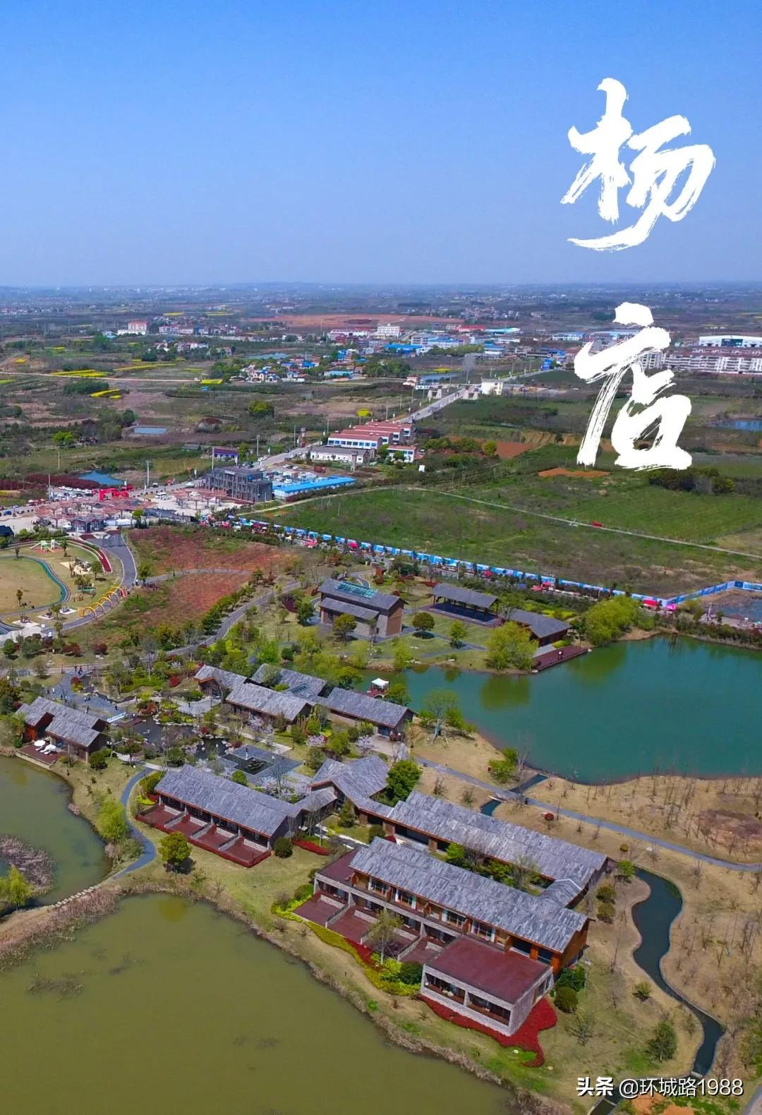 这里是,杨店