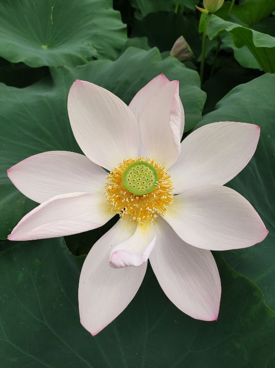 我迷上了今日头条