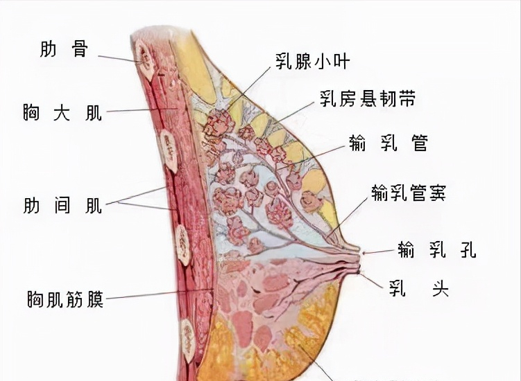 “这是最摧残的酷刑！”章子怡产后发文，数万