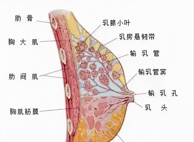 “这是最摧残的酷刑！”章子怡产后发文，数万妈妈为她点赞