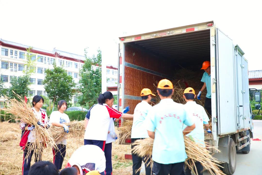 校园里竟然掀起麦浪！曲阜这两个学校真有心