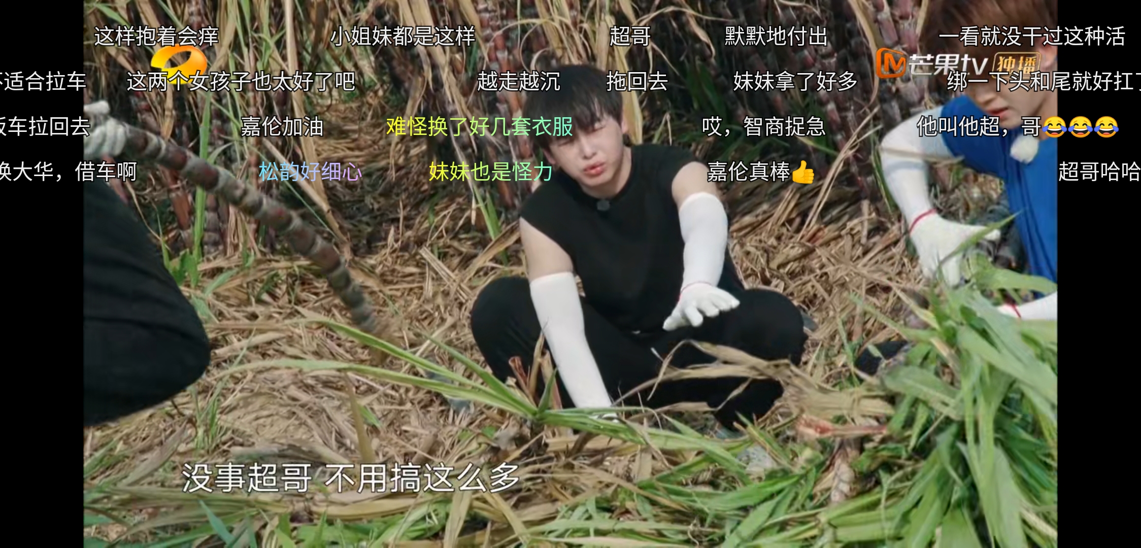 任嘉伦对谭松韵就是不一样，《向往的生活》偷