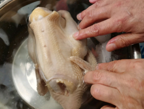图片[4]-广式白切鸡的做法步骤图 不柴不腥-起舞食谱网