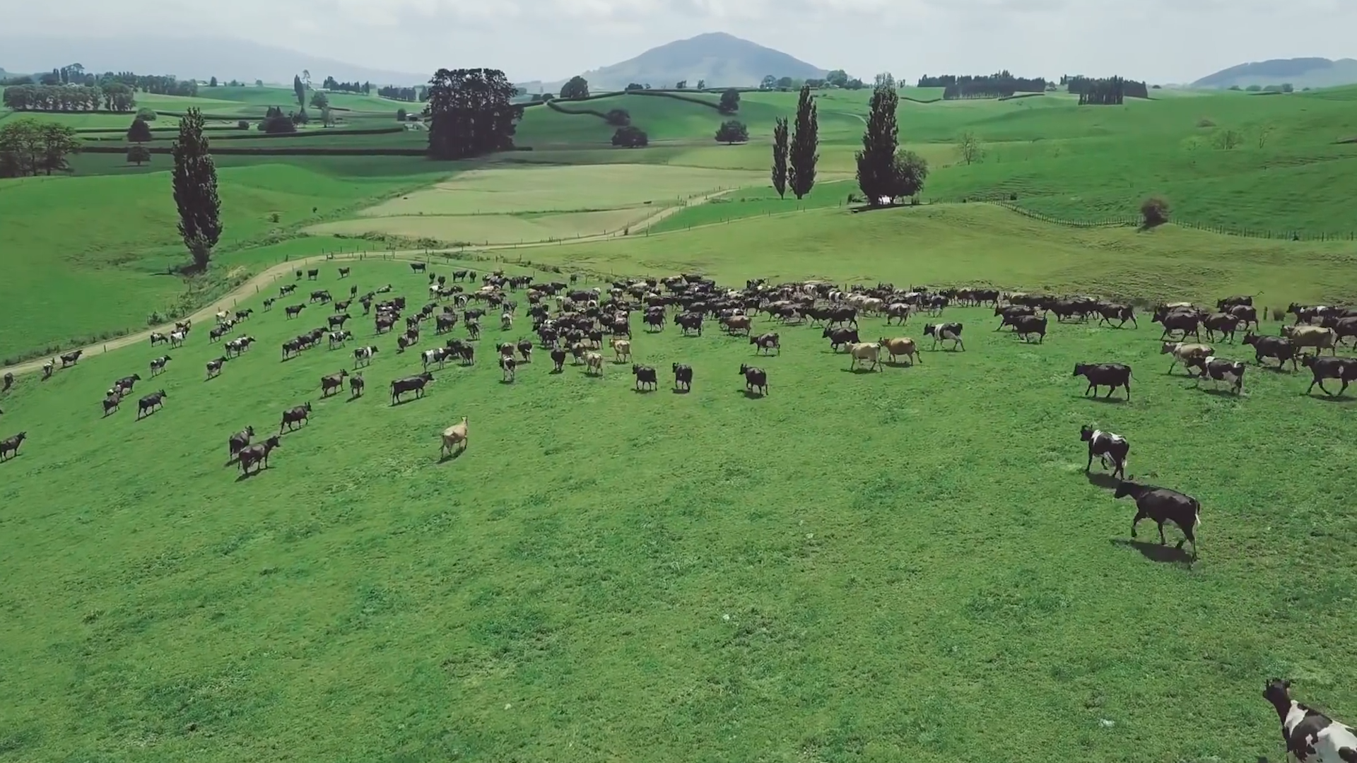 危險來臨前的警告，自然災害不可控，但是發生危險時會給你信號
