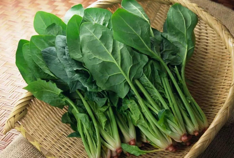 春季多吃蔬菜，這4種蔬菜要常吃，含天然葉酸，別不懂