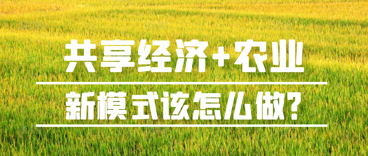 “共享经济+农业”新模式是什么？分享农业到底应该怎么做